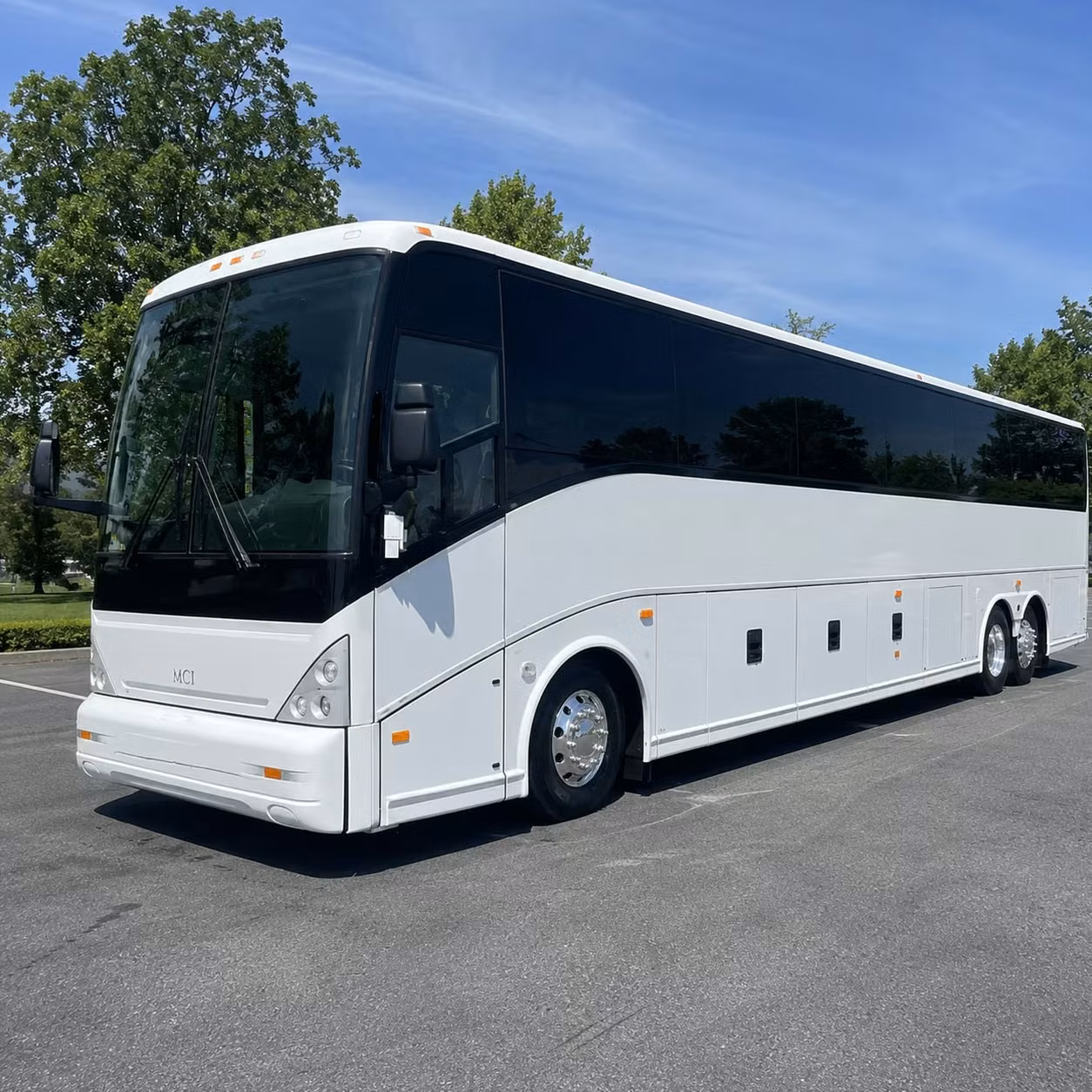 one search for your bellevue group trip